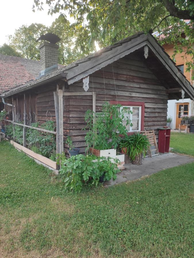 Schoberkurve Apartment Раублинг Екстериор снимка