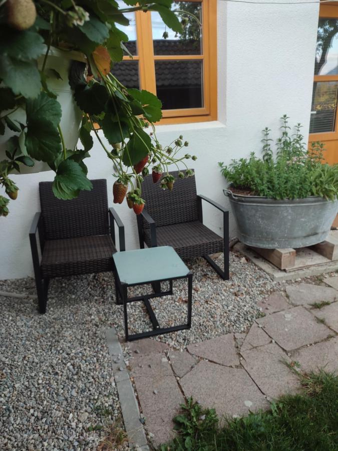 Schoberkurve Apartment Раублинг Екстериор снимка