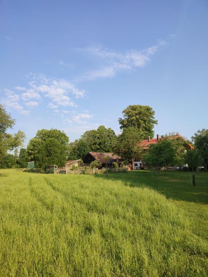 Schoberkurve Apartment Раублинг Екстериор снимка